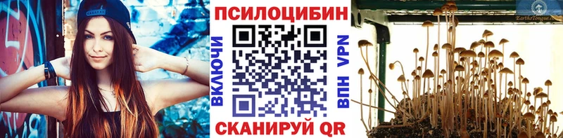 Галлюциногенные грибы MAGIC MUSHROOMS Малоярославец